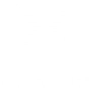 GAMUX_HEAD_WHITE